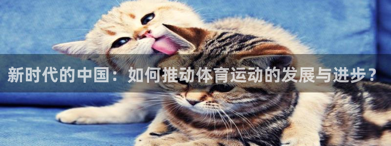 三亿体育：新时代的中国：如何推动体育运动的发展与进步？