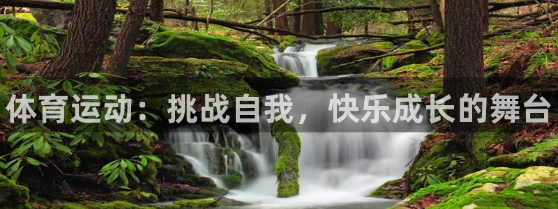 三亿体育网：体育运动：挑战自我，快乐成长的舞台