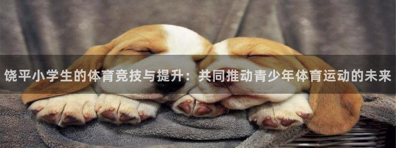 三亿体育：饶平小学生的体育竞技与提升：共同推动青少年体育运动的未来