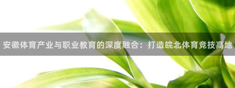 三亿体育网页版：安徽体育产业与职业教育的深度融合：打造皖北体育竞技高地