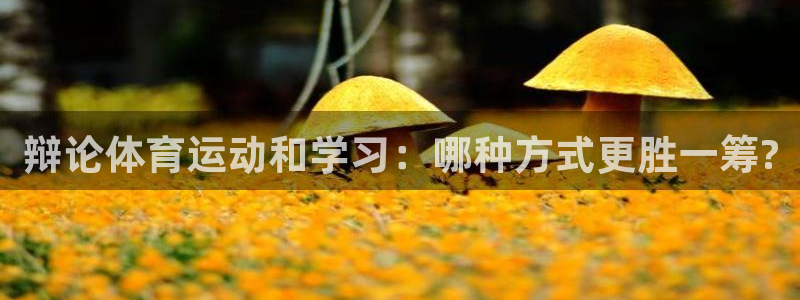 三亿体育网页版：辩论体育运动和学习：哪种方式更胜一筹?
