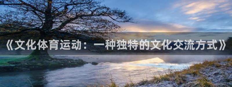 三亿体育登录：《文化体育运动：一种独特的文化交流方式》